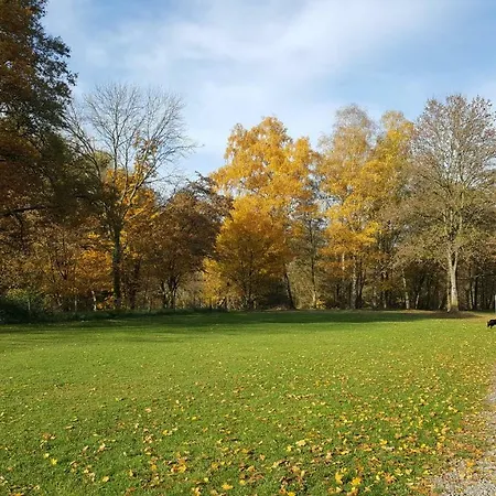 Bluetenstadt 라이힐링겐